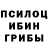 Псилоцибиновые грибы Magic Shrooms Anjelika Navasardyan