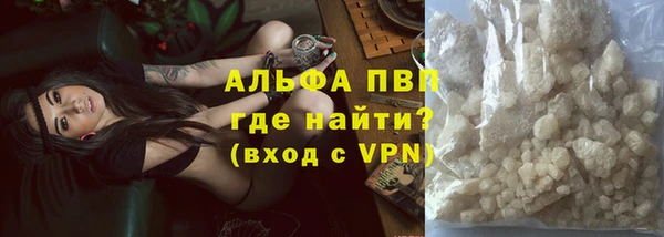 стафф Каменка
