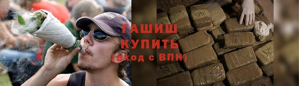 стафф Каменка