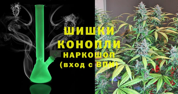 стафф Каменка