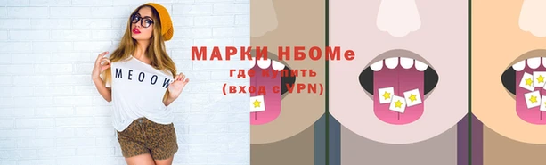 стафф Каменка