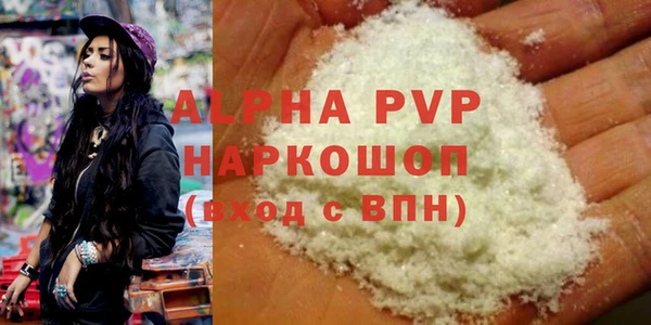 ПСИЛОЦИБИНОВЫЕ ГРИБЫ Каменногорск