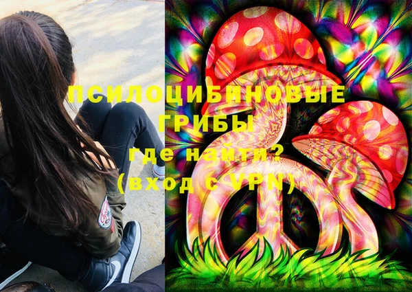 гидропоника Каменногорск