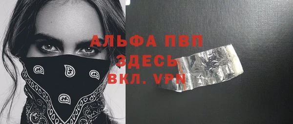 стафф Каменка