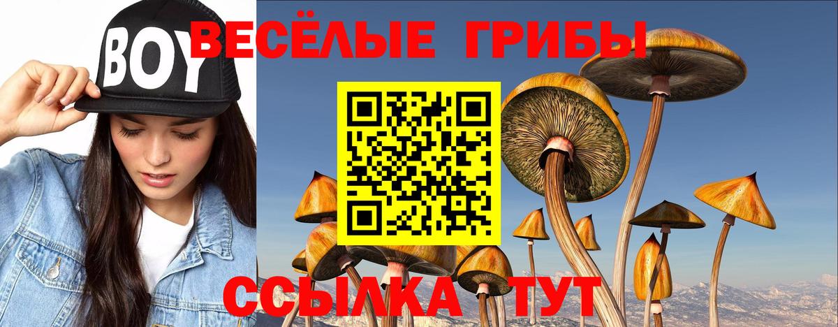 купить наркоту  Псилоцибиновые грибы ЛСД  Вход с VPN  Псилоцибиновые грибы мухоморы  Сызрань 